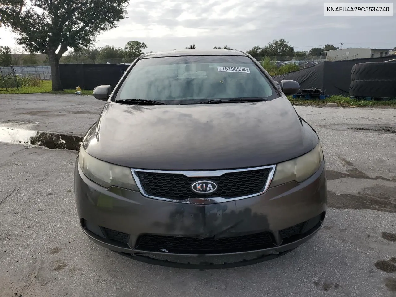 2012 Kia Forte Ex VIN: KNAFU4A29C5534740 Lot: 75196554