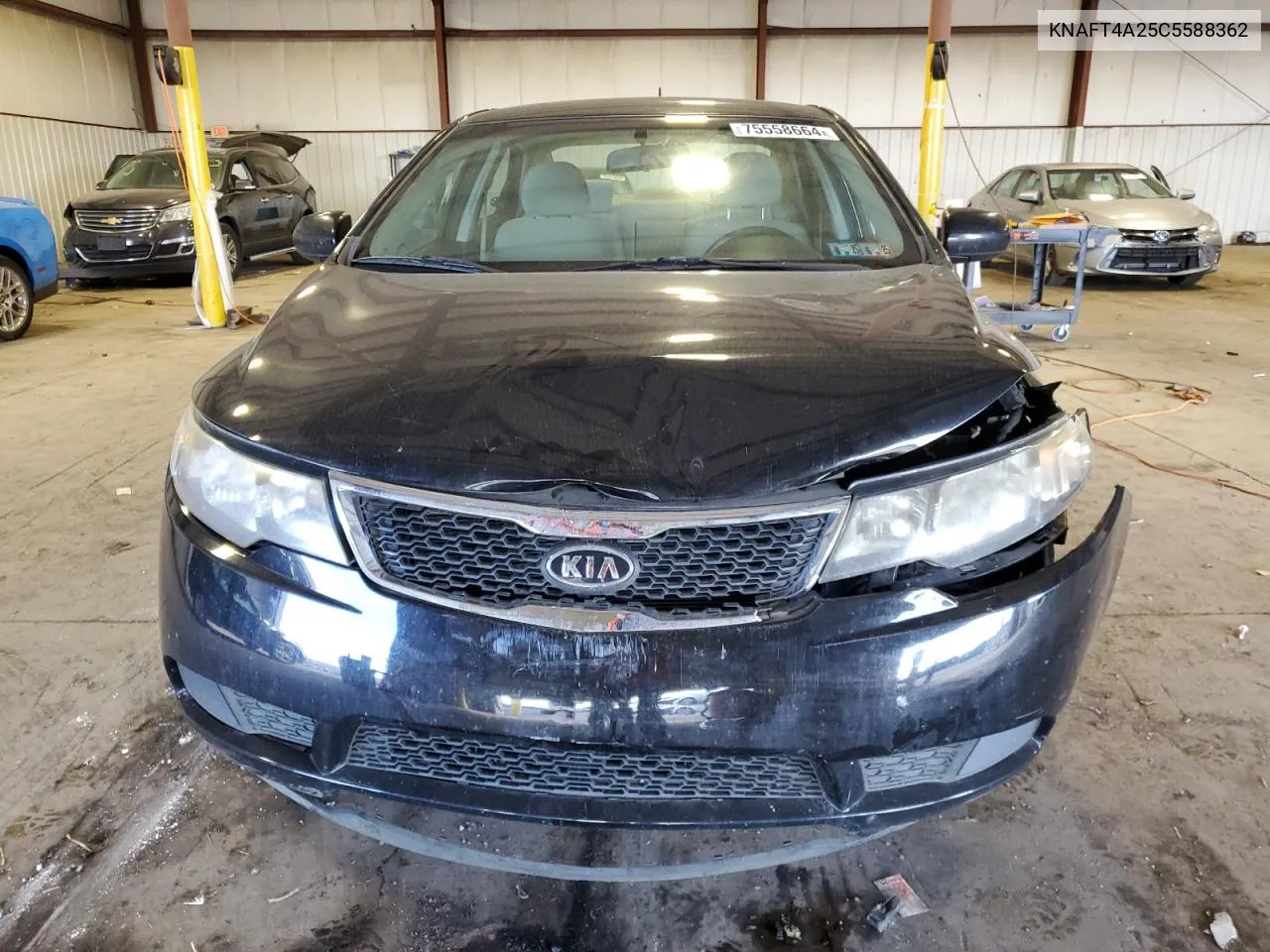 2012 Kia Forte Lx VIN: KNAFT4A25C5588362 Lot: 75558664