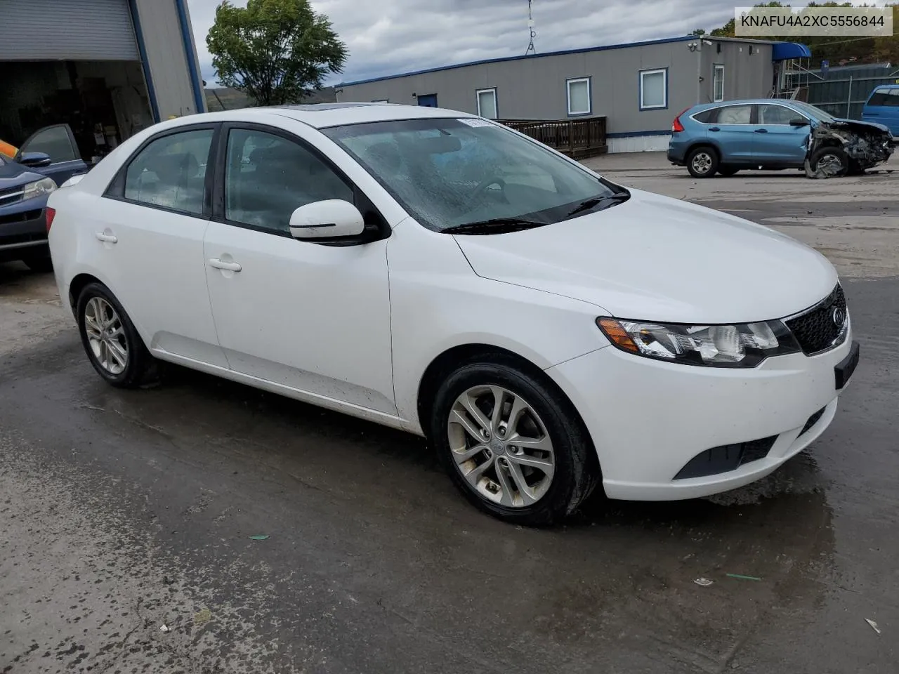 2012 Kia Forte Ex VIN: KNAFU4A2XC5556844 Lot: 75710734