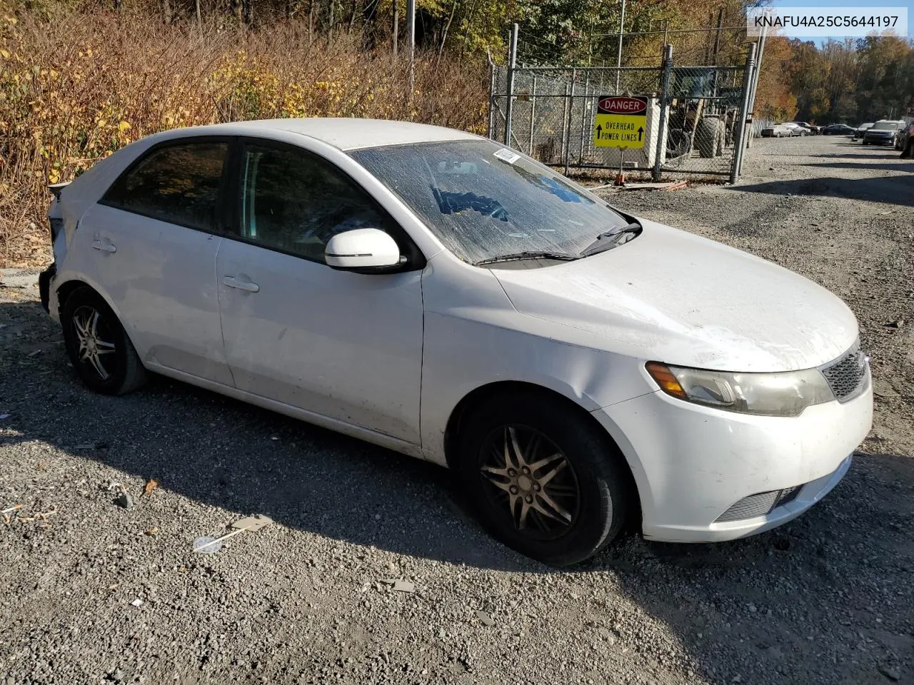 2012 Kia Forte Ex VIN: KNAFU4A25C5644197 Lot: 78820474