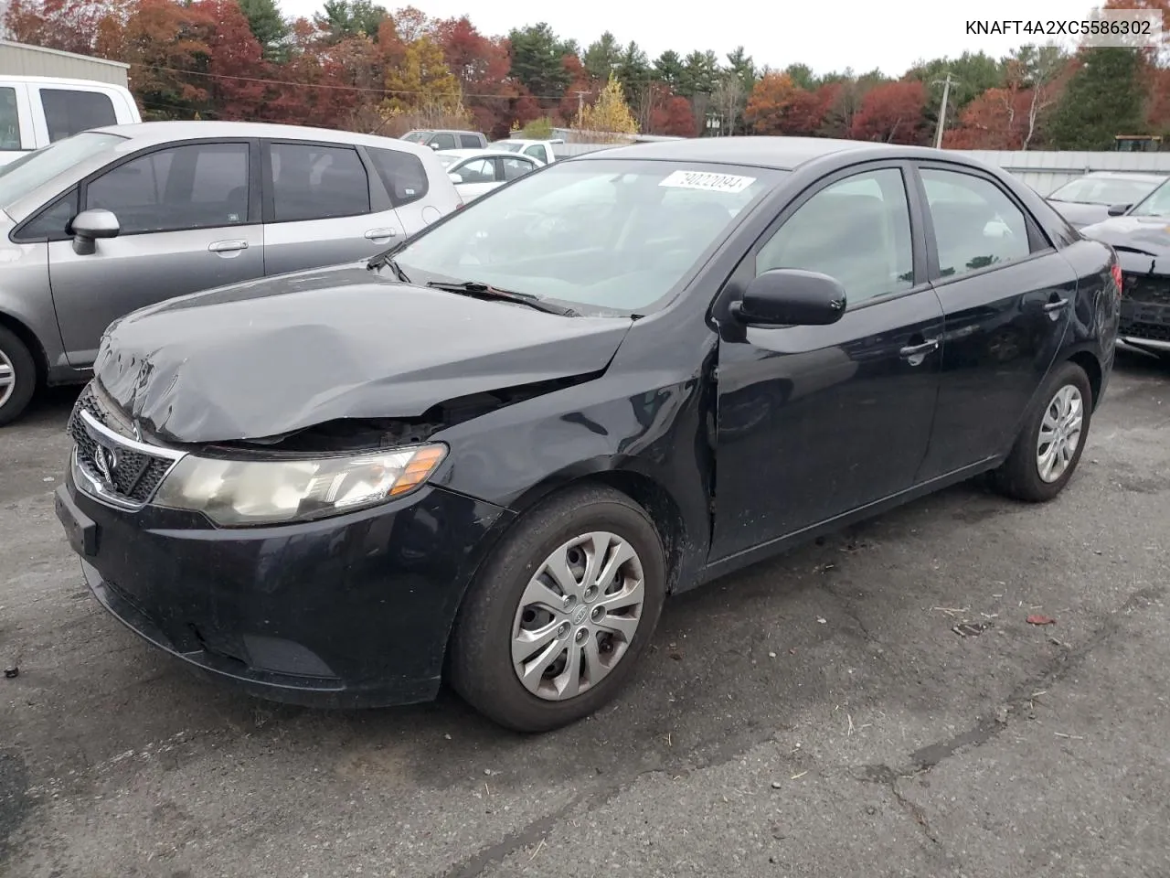 2012 Kia Forte Lx VIN: KNAFT4A2XC5586302 Lot: 79022094