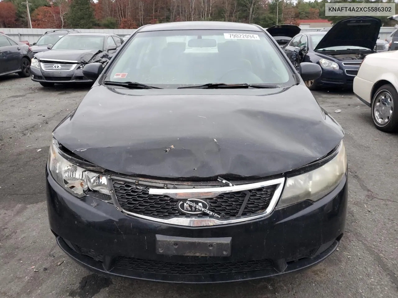 2012 Kia Forte Lx VIN: KNAFT4A2XC5586302 Lot: 79022094