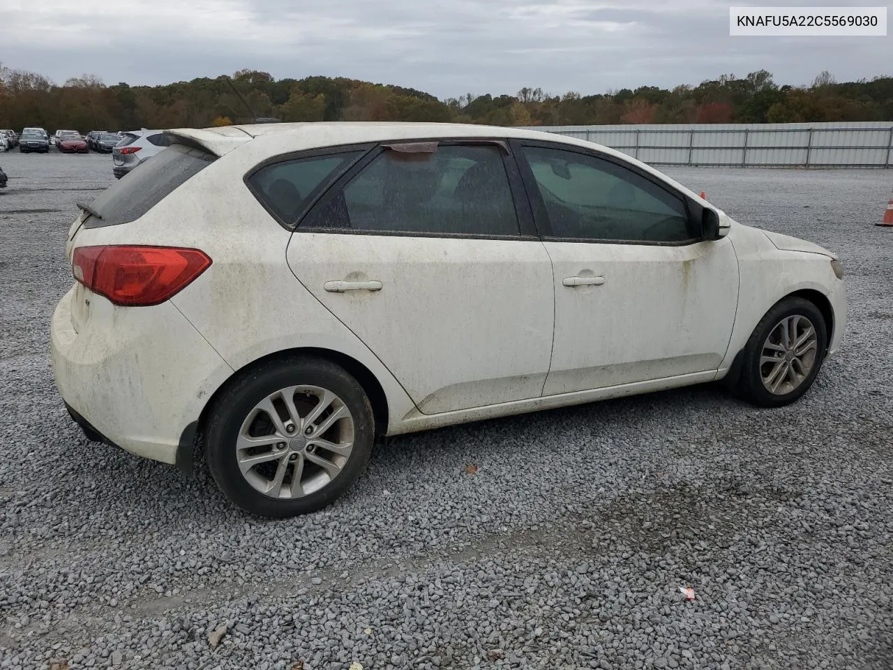 2012 Kia Forte Ex VIN: KNAFU5A22C5569030 Lot: 79074754