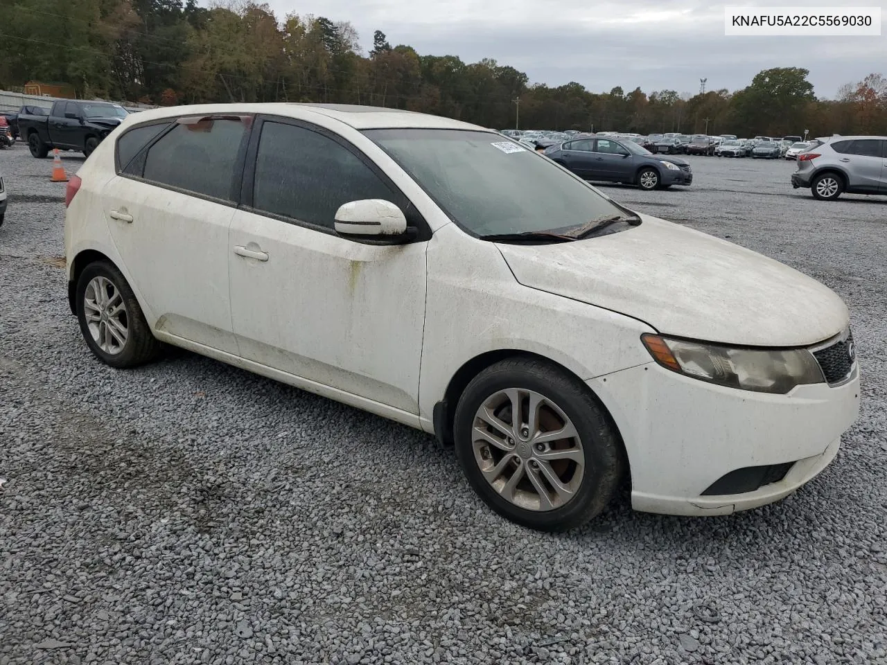 2012 Kia Forte Ex VIN: KNAFU5A22C5569030 Lot: 79074754