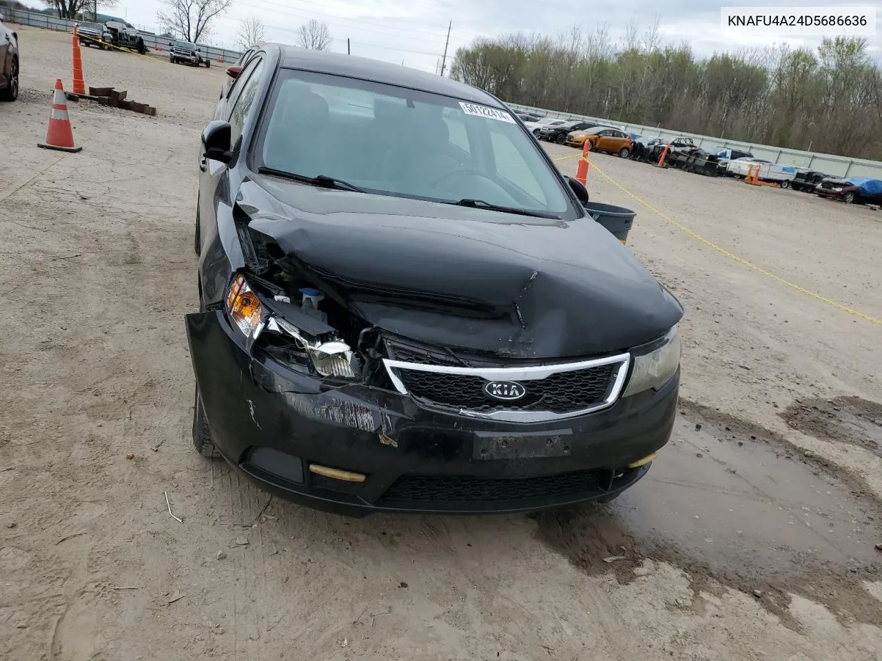 KNAFU4A24D5686636 2013 Kia Forte Ex