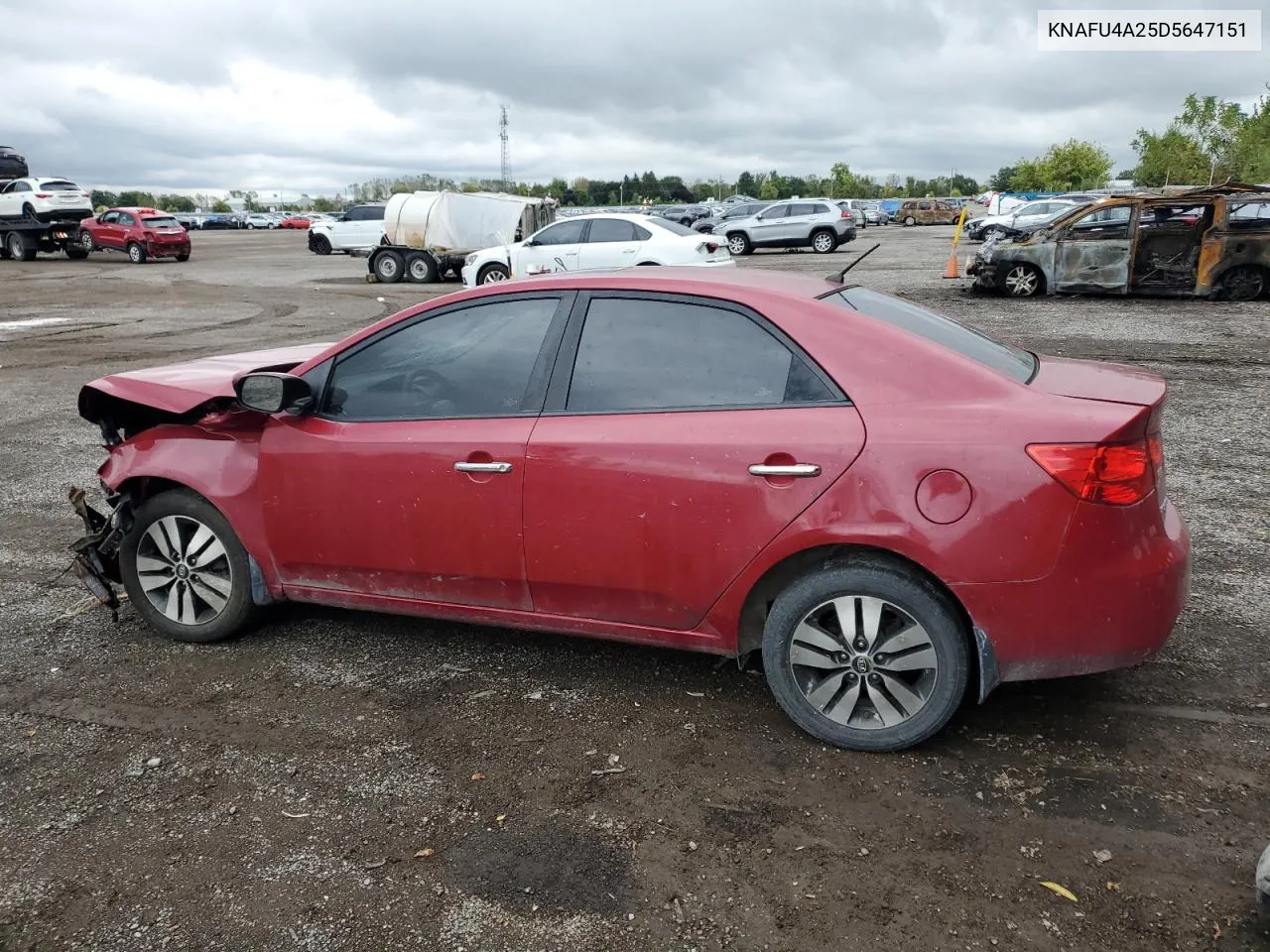 KNAFU4A25D5647151 2013 Kia Forte Ex