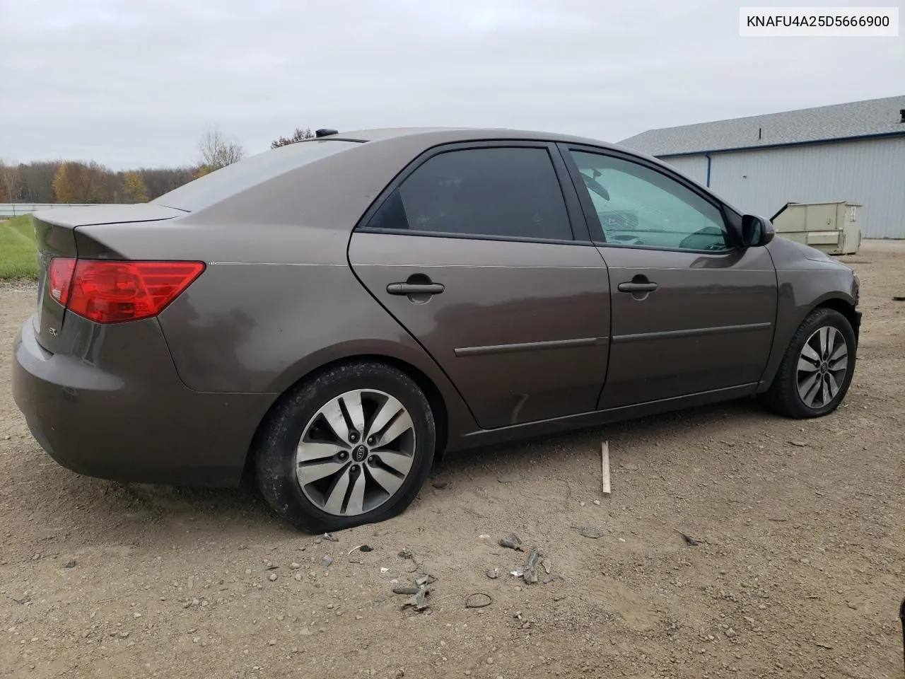 2013 Kia Forte Ex VIN: KNAFU4A25D5666900 Lot: 78274084