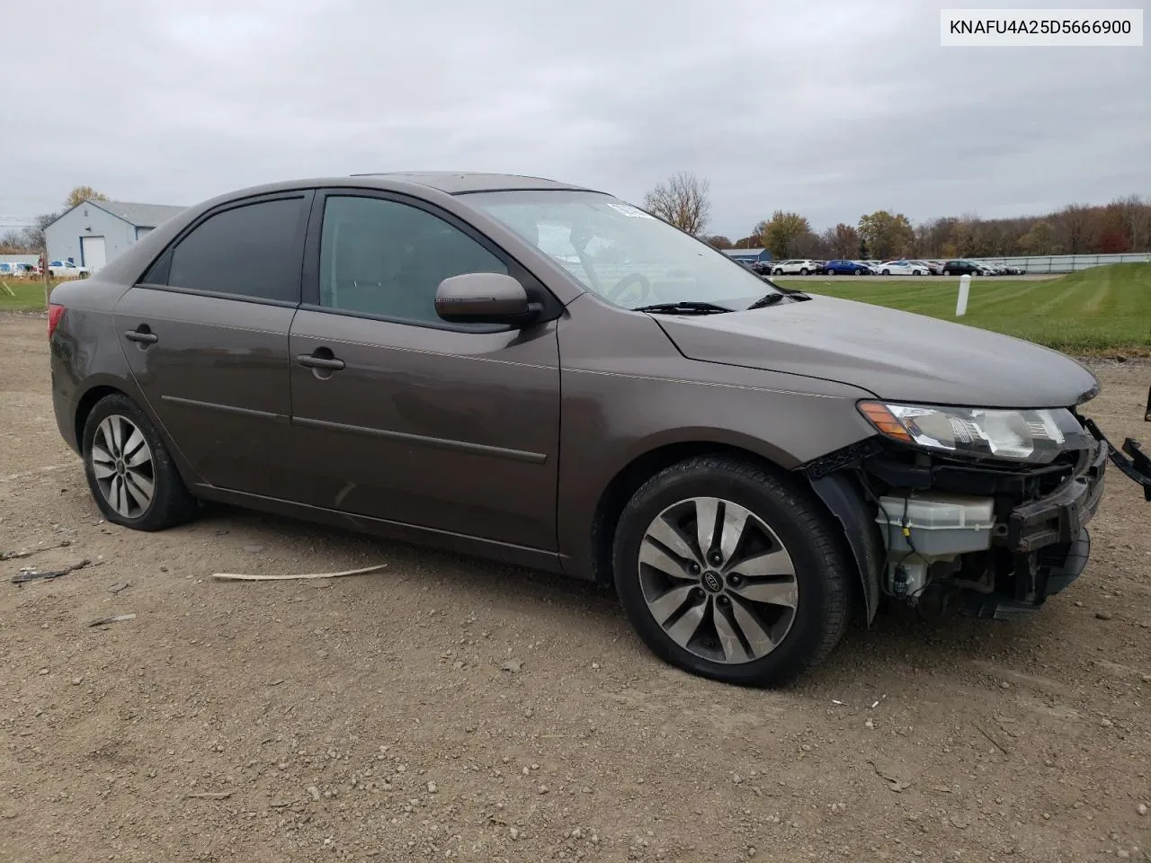 2013 Kia Forte Ex VIN: KNAFU4A25D5666900 Lot: 78274084