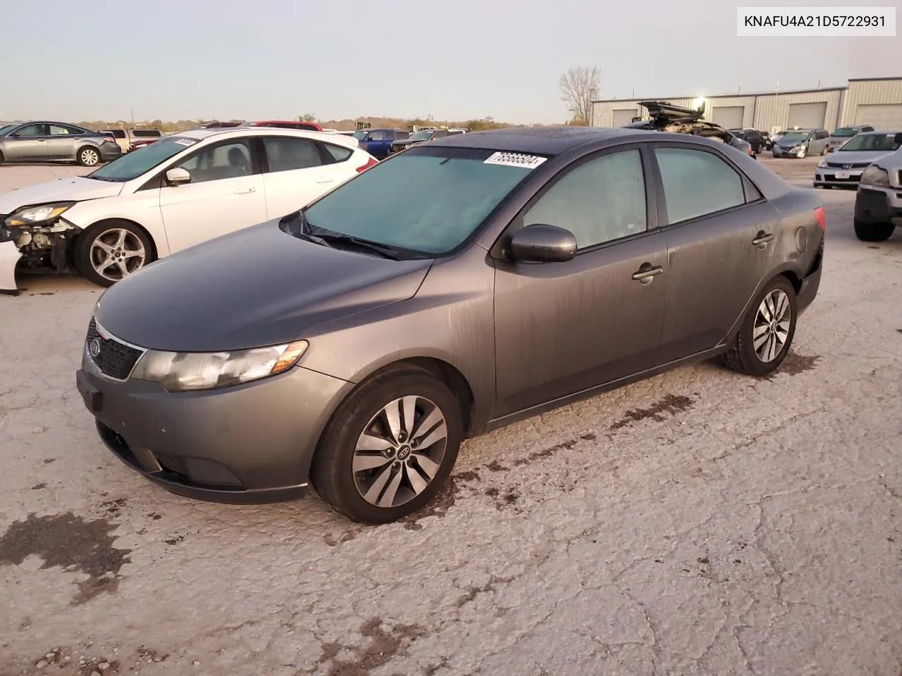 2013 Kia Forte Ex VIN: KNAFU4A21D5722931 Lot: 78566504