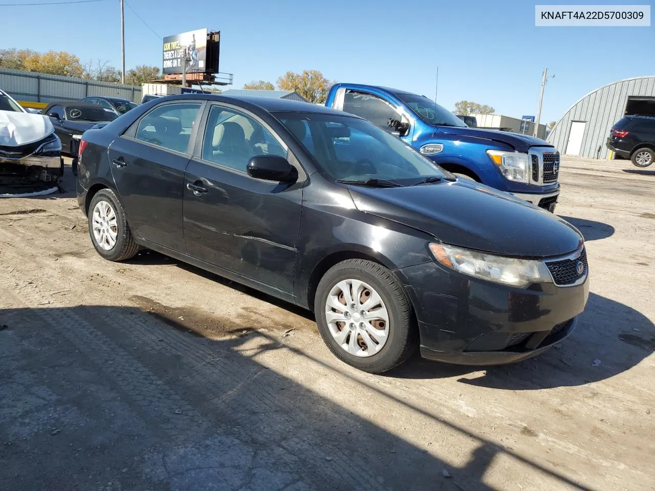 2013 Kia Forte Lx VIN: KNAFT4A22D5700309 Lot: 79006664