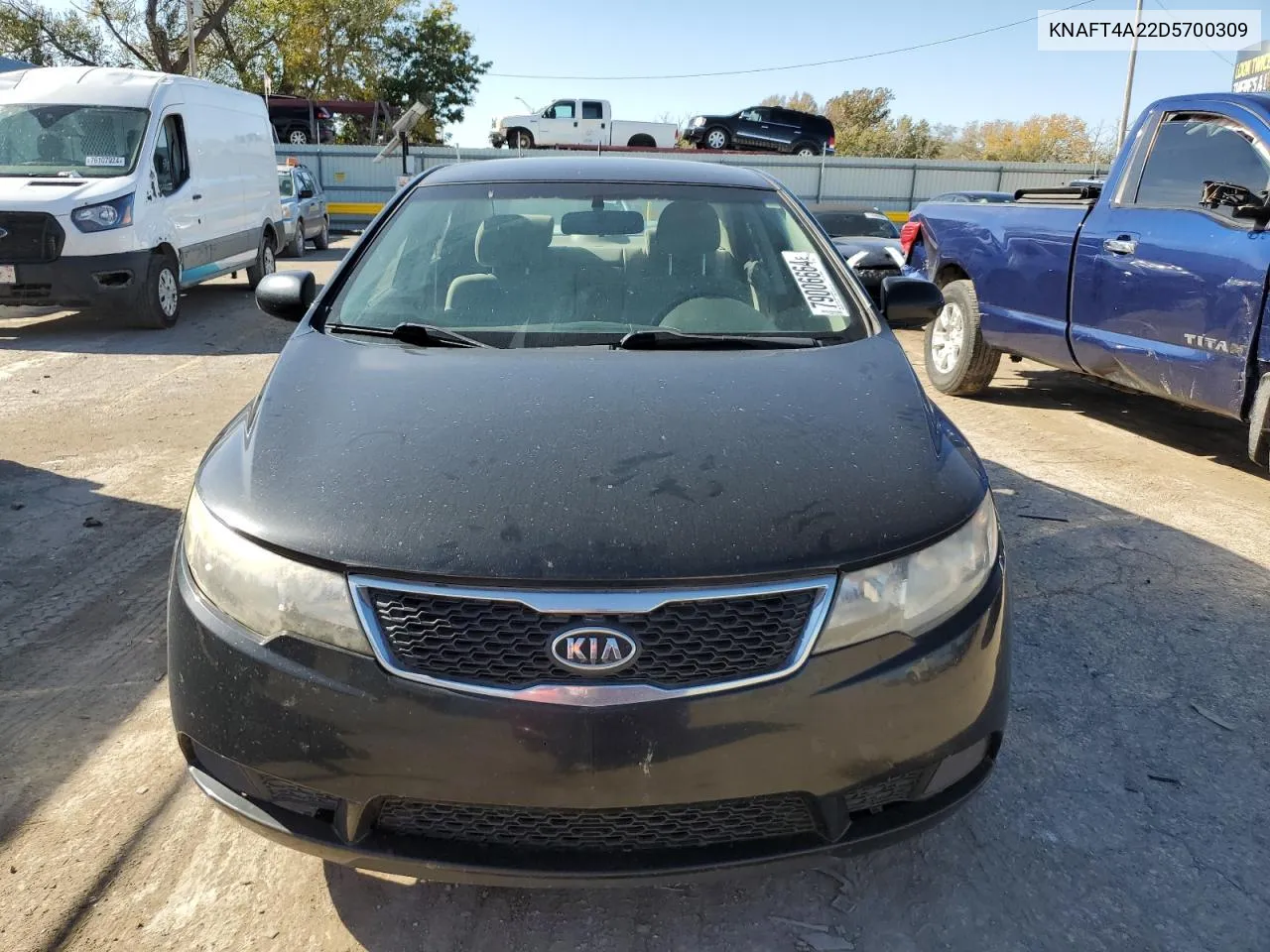 2013 Kia Forte Lx VIN: KNAFT4A22D5700309 Lot: 79006664