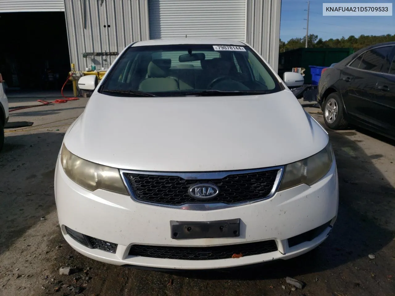 2013 Kia Forte Ex VIN: KNAFU4A21D5709533 Lot: 79078144