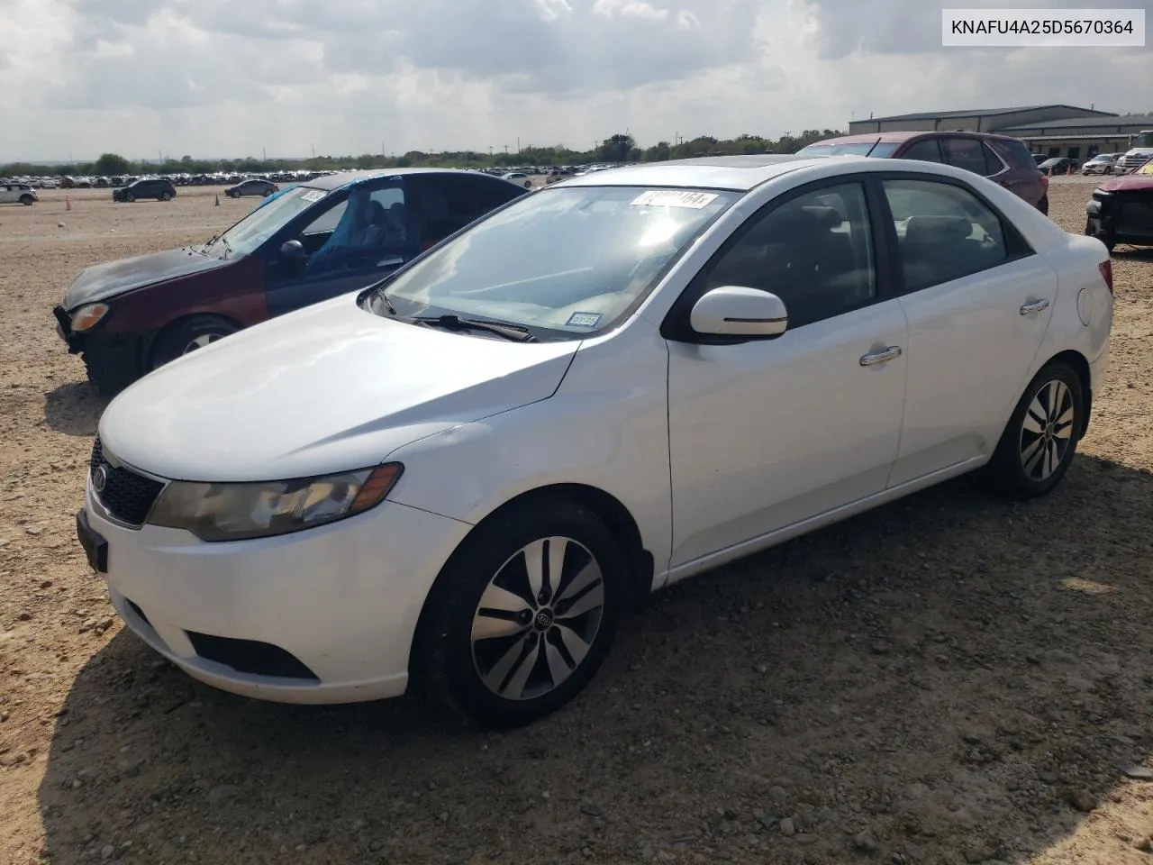 2013 Kia Forte Ex VIN: KNAFU4A25D5670364 Lot: 79808164