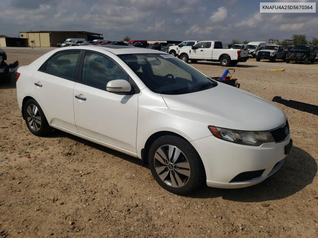 2013 Kia Forte Ex VIN: KNAFU4A25D5670364 Lot: 79808164