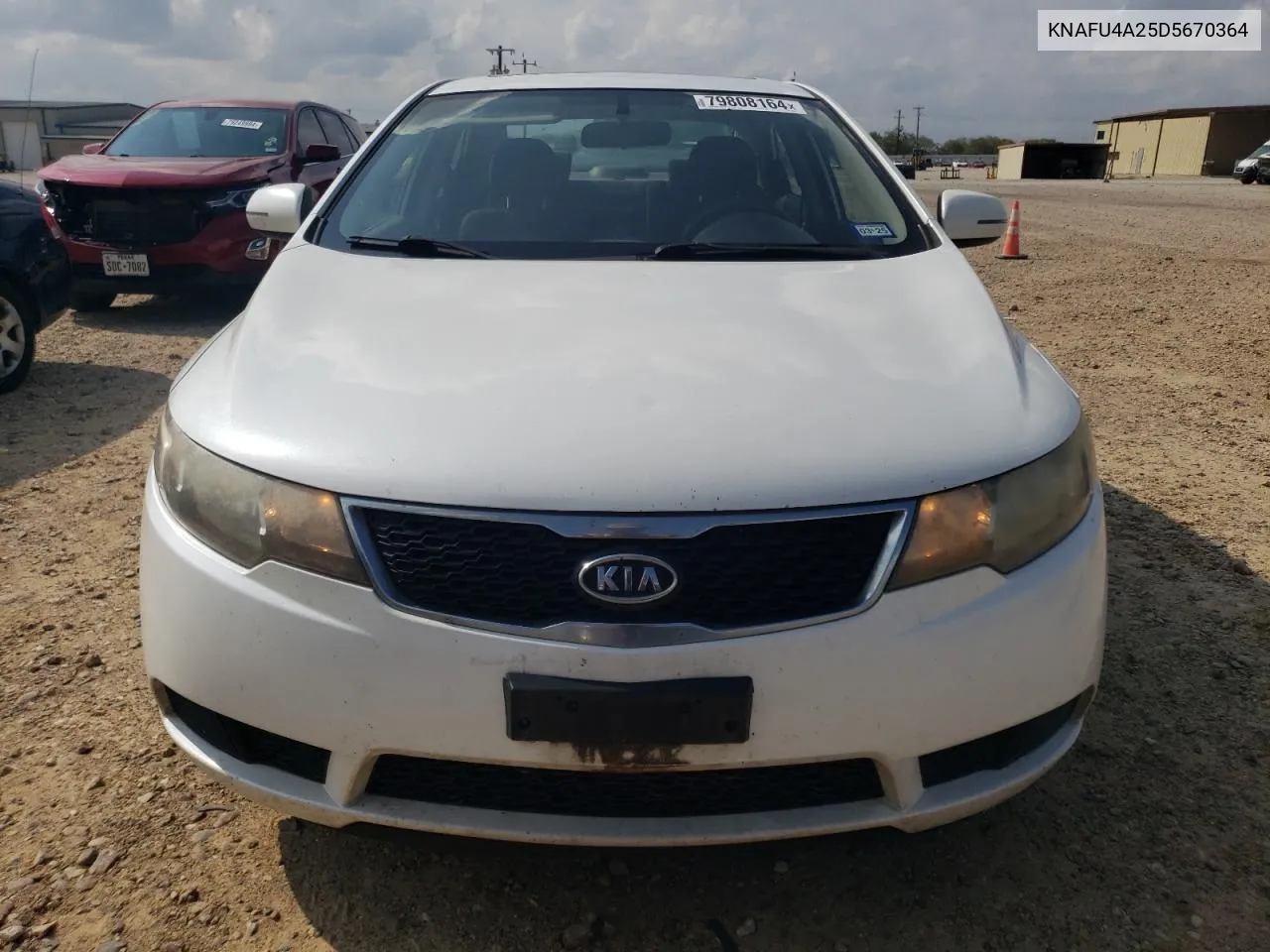 2013 Kia Forte Ex VIN: KNAFU4A25D5670364 Lot: 79808164