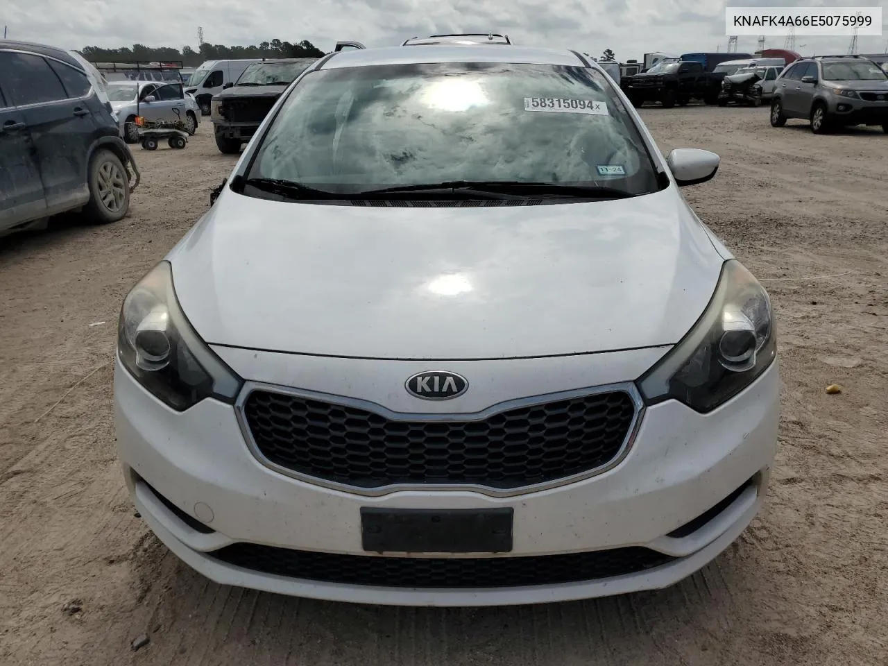 2014 Kia Forte Lx VIN: KNAFK4A66E5075999 Lot: 58315094