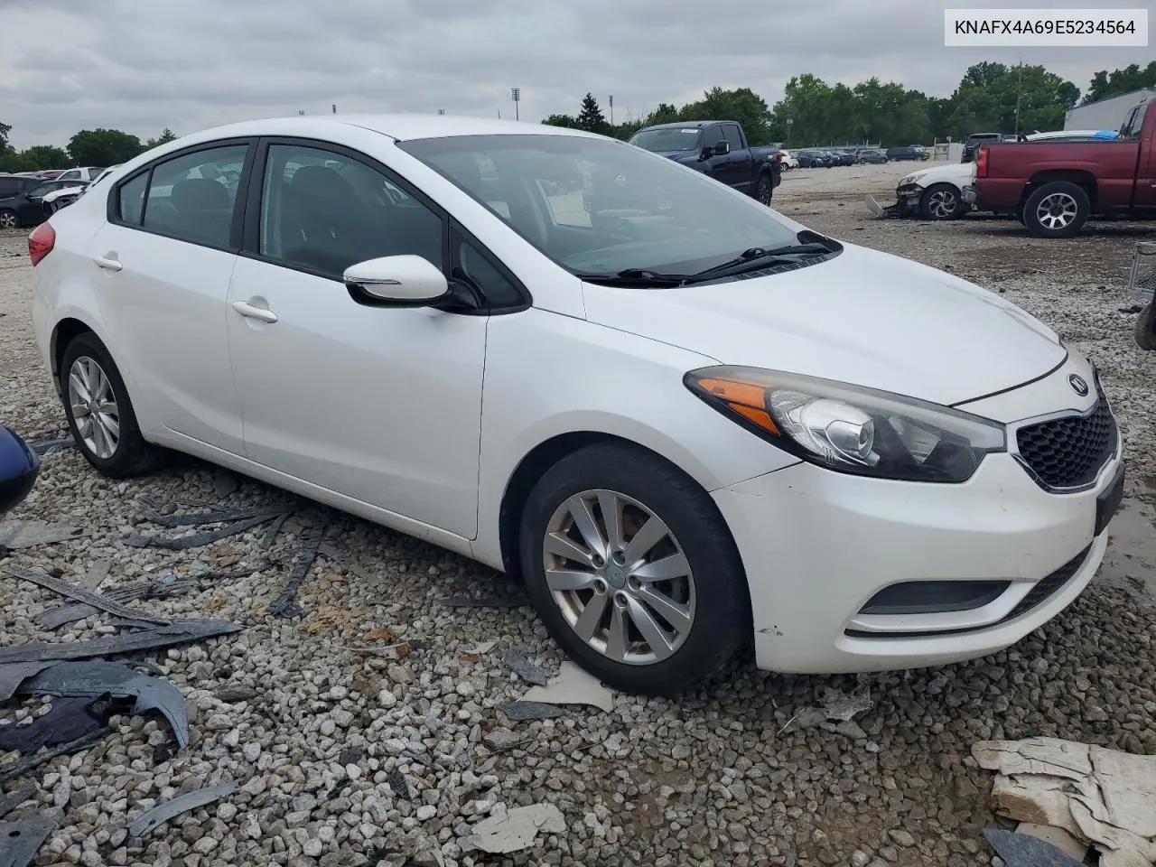 2014 Kia Forte Lx VIN: KNAFX4A69E5234564 Lot: 61595514