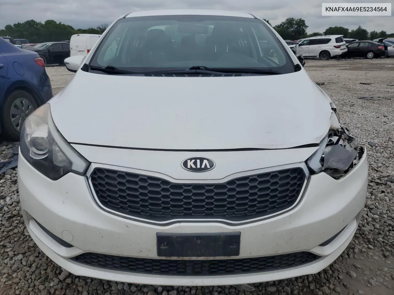 2014 Kia Forte Lx VIN: KNAFX4A69E5234564 Lot: 61595514