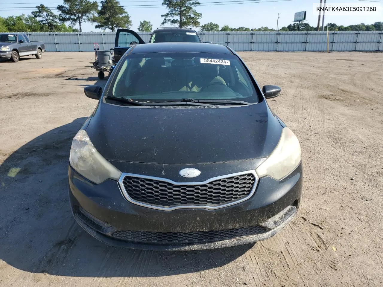 2014 Kia Forte Lx VIN: KNAFK4A63E5091268 Lot: 64509914