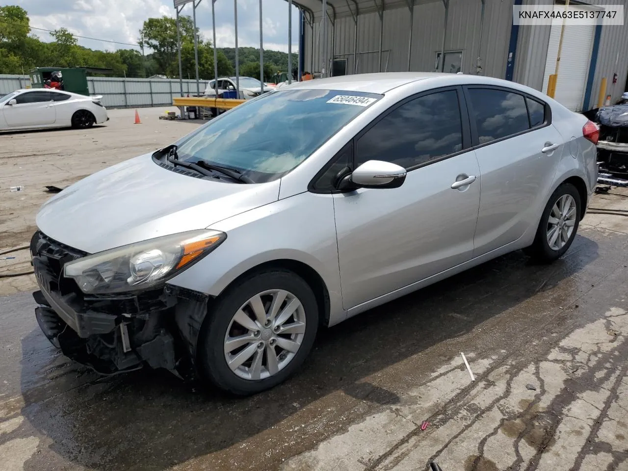 2014 Kia Forte Lx VIN: KNAFX4A63E5137747 Lot: 65046494