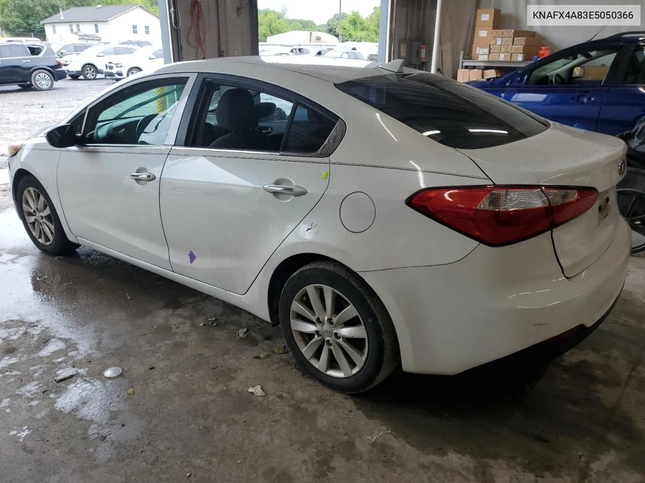 2014 Kia Forte Ex VIN: KNAFX4A83E5050366 Lot: 66775624