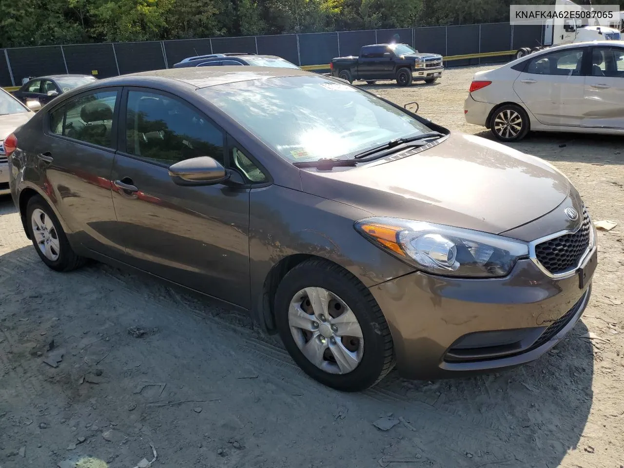 2014 Kia Forte Lx VIN: KNAFK4A62E5087065 Lot: 68204704