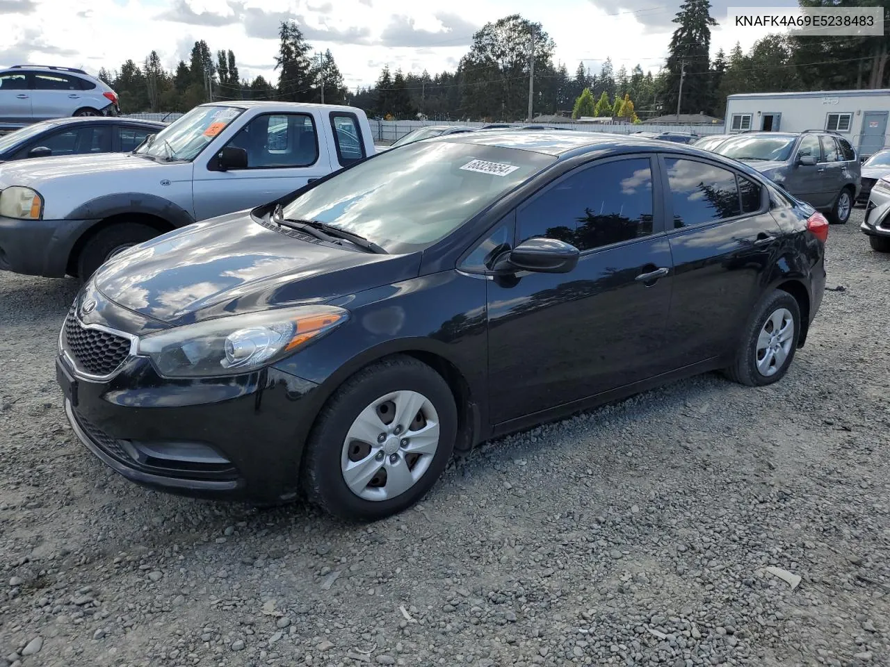 2014 Kia Forte Lx VIN: KNAFK4A69E5238483 Lot: 68329654