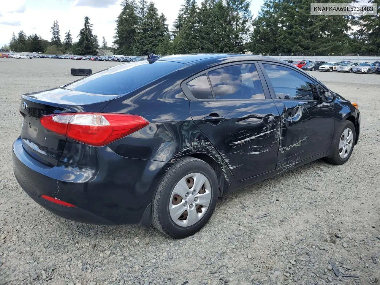 KNAFK4A69E5238483 2014 Kia Forte Lx