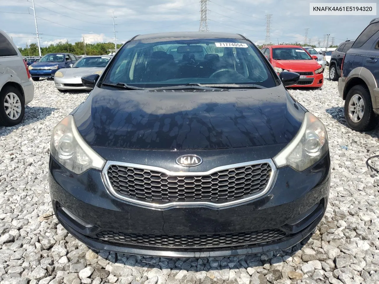 2014 Kia Forte Lx VIN: KNAFK4A61E5194320 Lot: 71774054