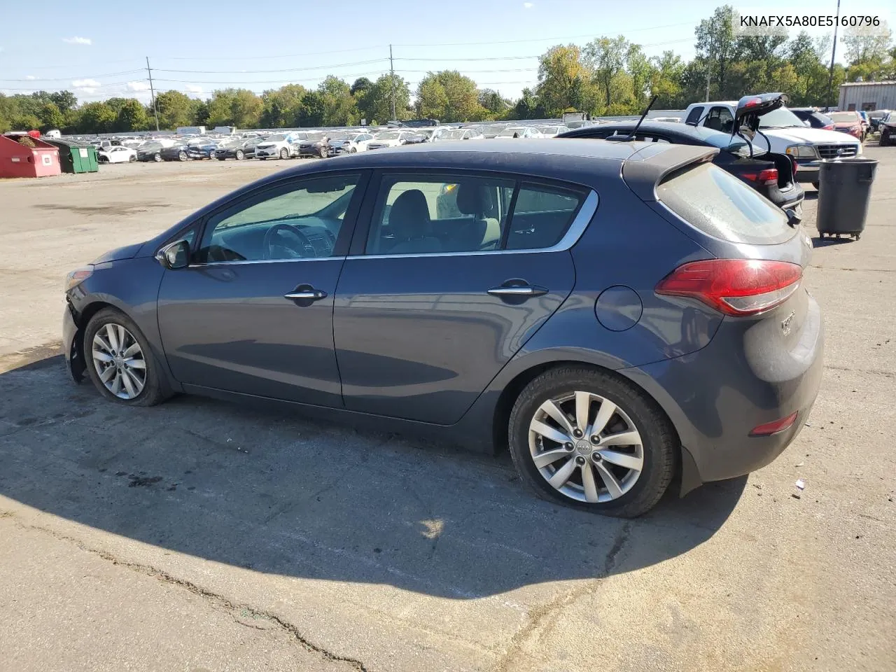 2014 Kia Forte Ex VIN: KNAFX5A80E5160796 Lot: 72183344