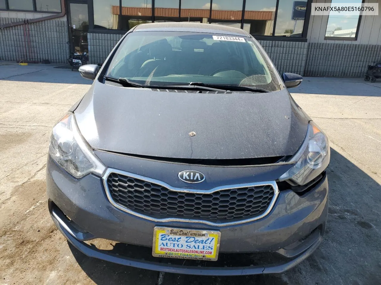 2014 Kia Forte Ex VIN: KNAFX5A80E5160796 Lot: 72183344