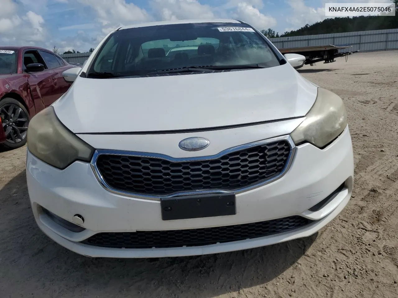 2014 Kia Forte Lx VIN: KNAFX4A62E5075046 Lot: 74007614