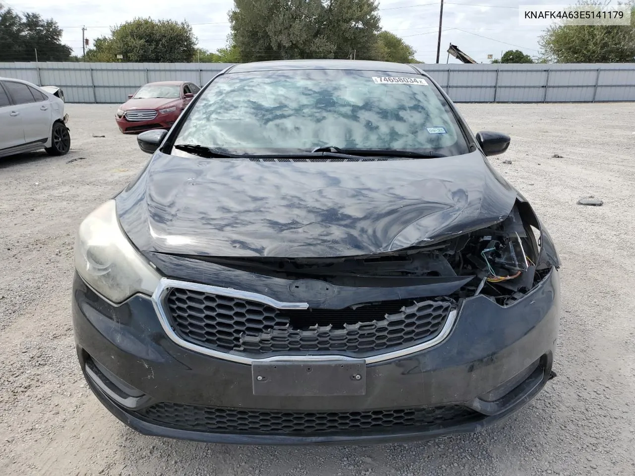 2014 Kia Forte Lx VIN: KNAFK4A63E5141179 Lot: 74658034