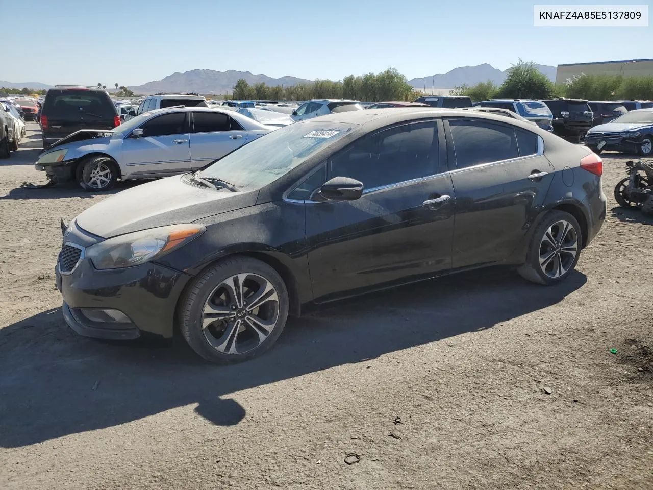 2014 Kia Forte Ex VIN: KNAFZ4A85E5137809 Lot: 74839474