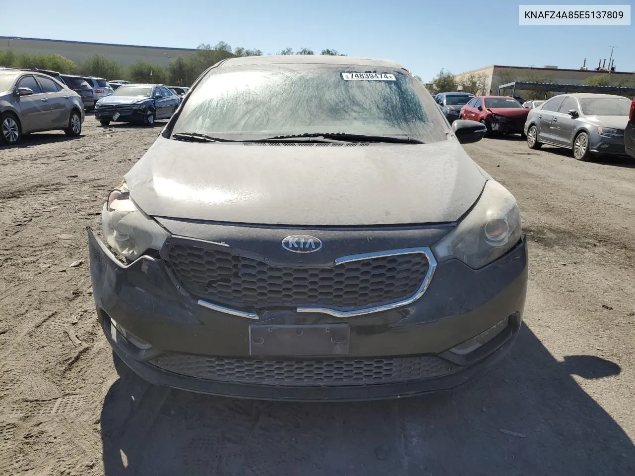 2014 Kia Forte Ex VIN: KNAFZ4A85E5137809 Lot: 74839474