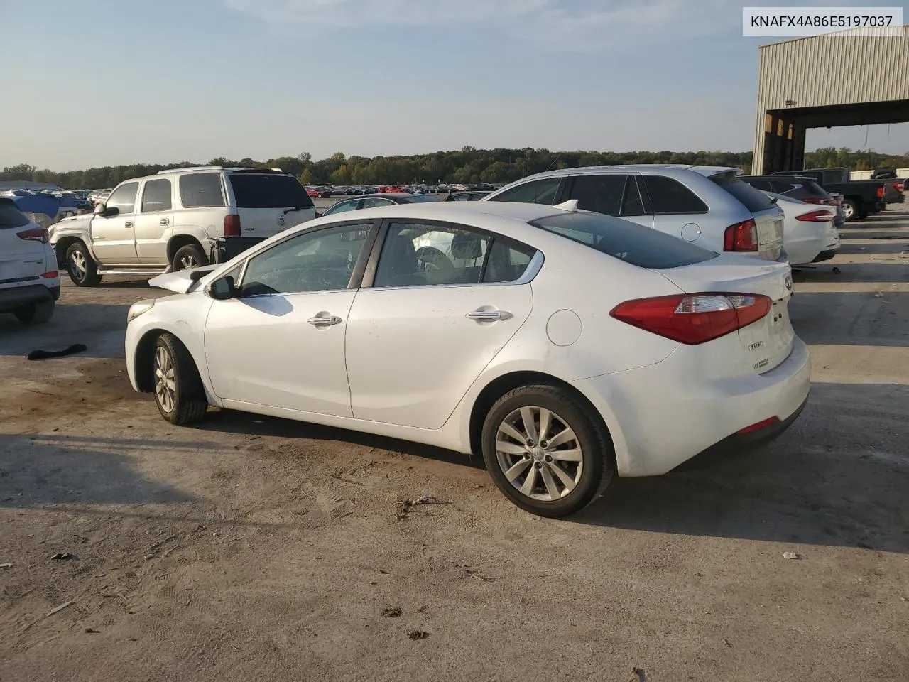 2014 Kia Forte Ex VIN: KNAFX4A86E5197037 Lot: 75333344