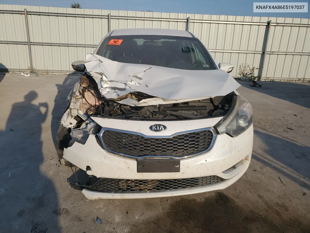 2014 Kia Forte Ex VIN: KNAFX4A86E5197037 Lot: 75333344