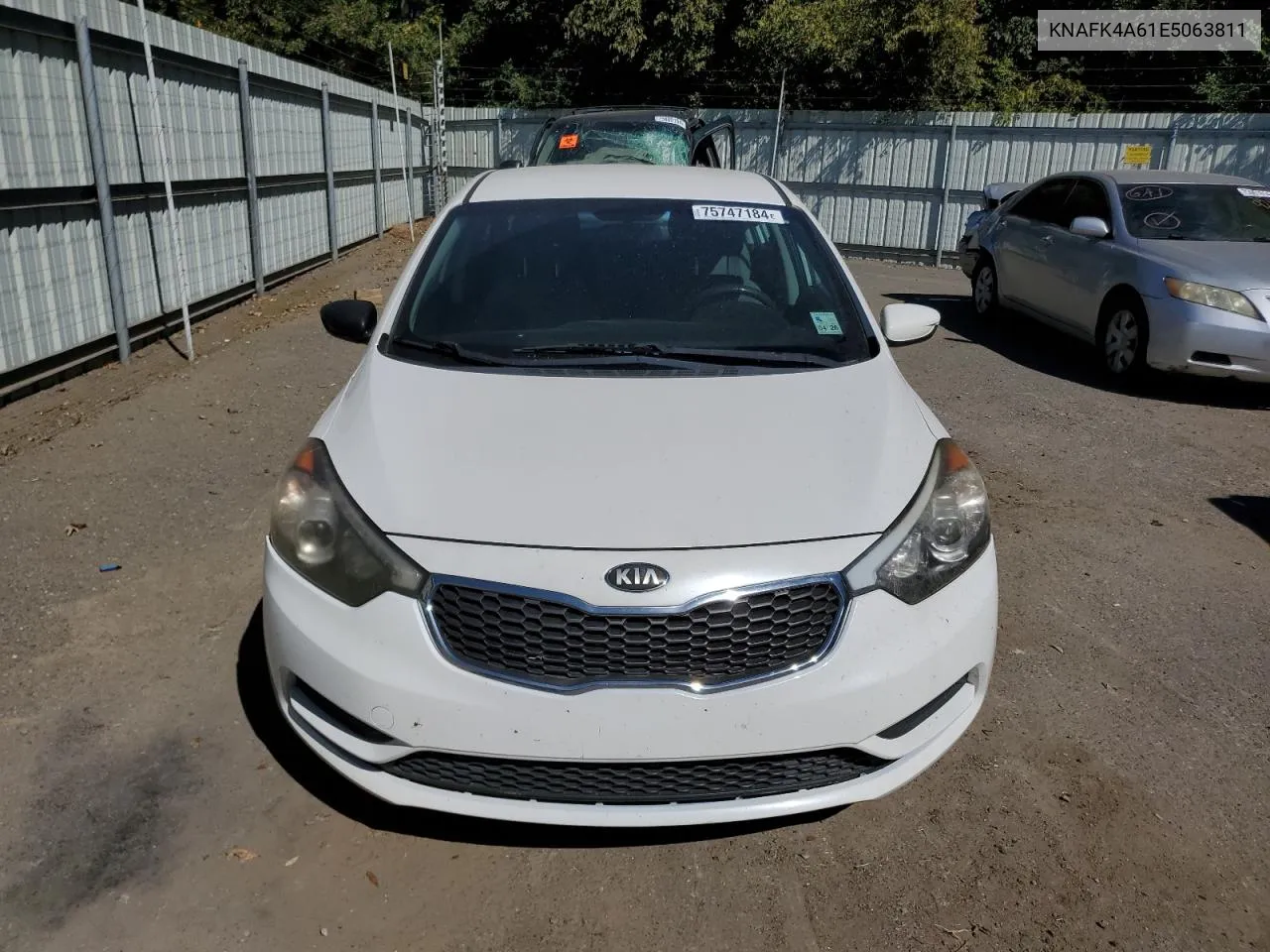 2014 Kia Forte Lx VIN: KNAFK4A61E5063811 Lot: 75747184