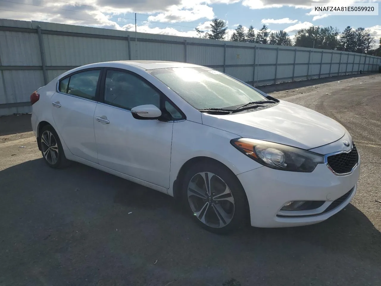 2014 Kia Forte Ex VIN: KNAFZ4A81E5059920 Lot: 76418474