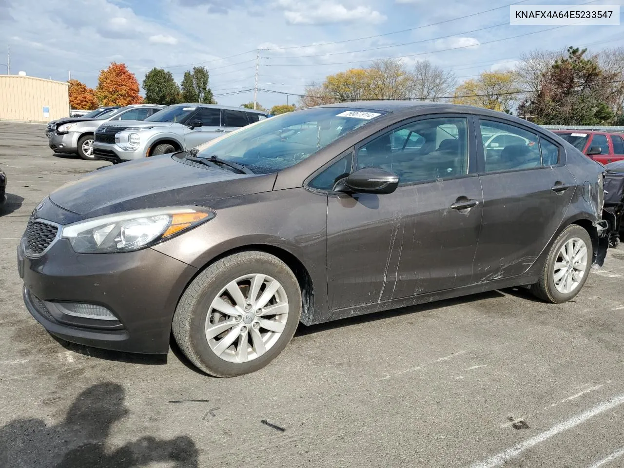 2014 Kia Forte Lx VIN: KNAFX4A64E5233547 Lot: 76967914