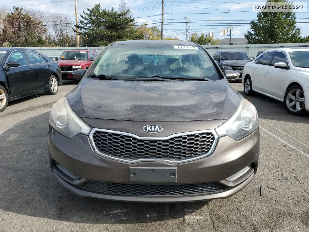 2014 Kia Forte Lx VIN: KNAFX4A64E5233547 Lot: 76967914