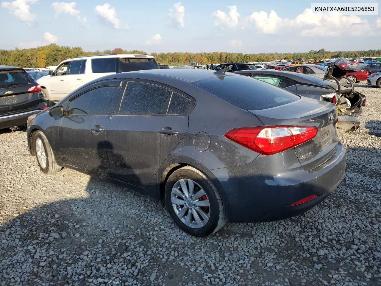 2014 Kia Forte Lx VIN: KNAFX4A68E5206853 Lot: 77182754