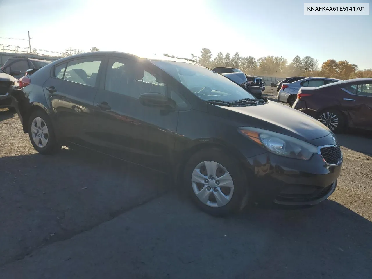 2014 Kia Forte Lx VIN: KNAFK4A61E5141701 Lot: 77303834