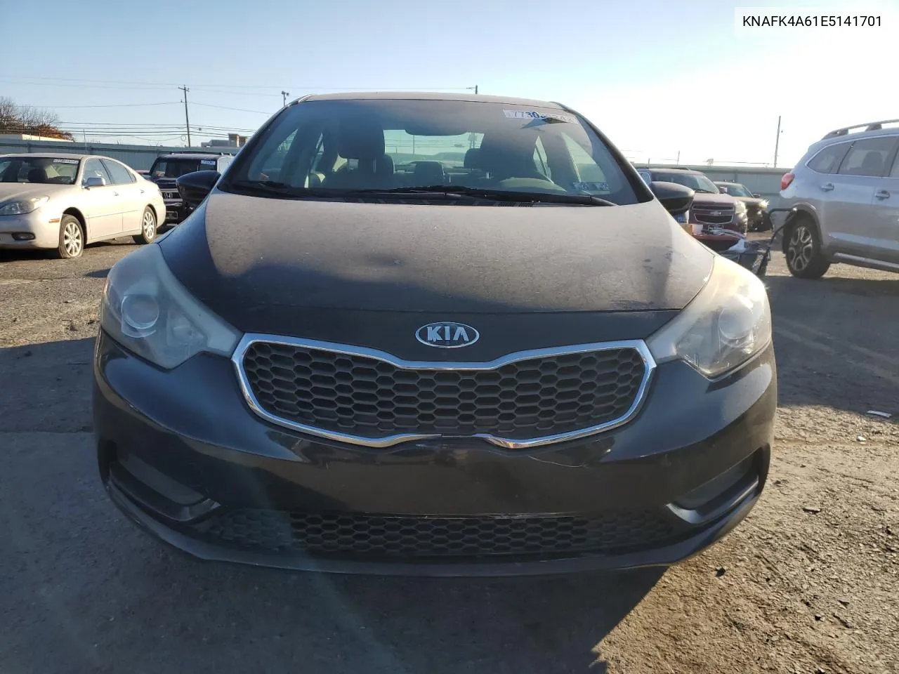 2014 Kia Forte Lx VIN: KNAFK4A61E5141701 Lot: 77303834