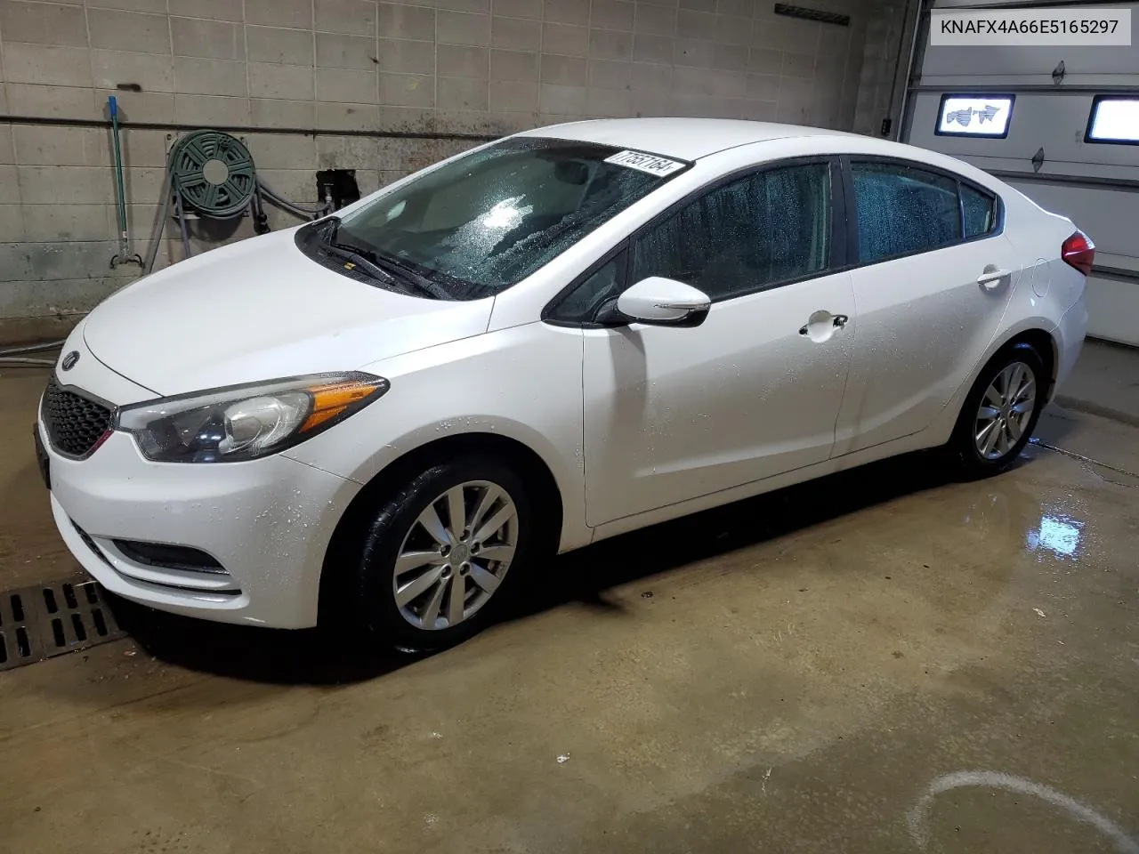 2014 Kia Forte Lx VIN: KNAFX4A66E5165297 Lot: 77557164