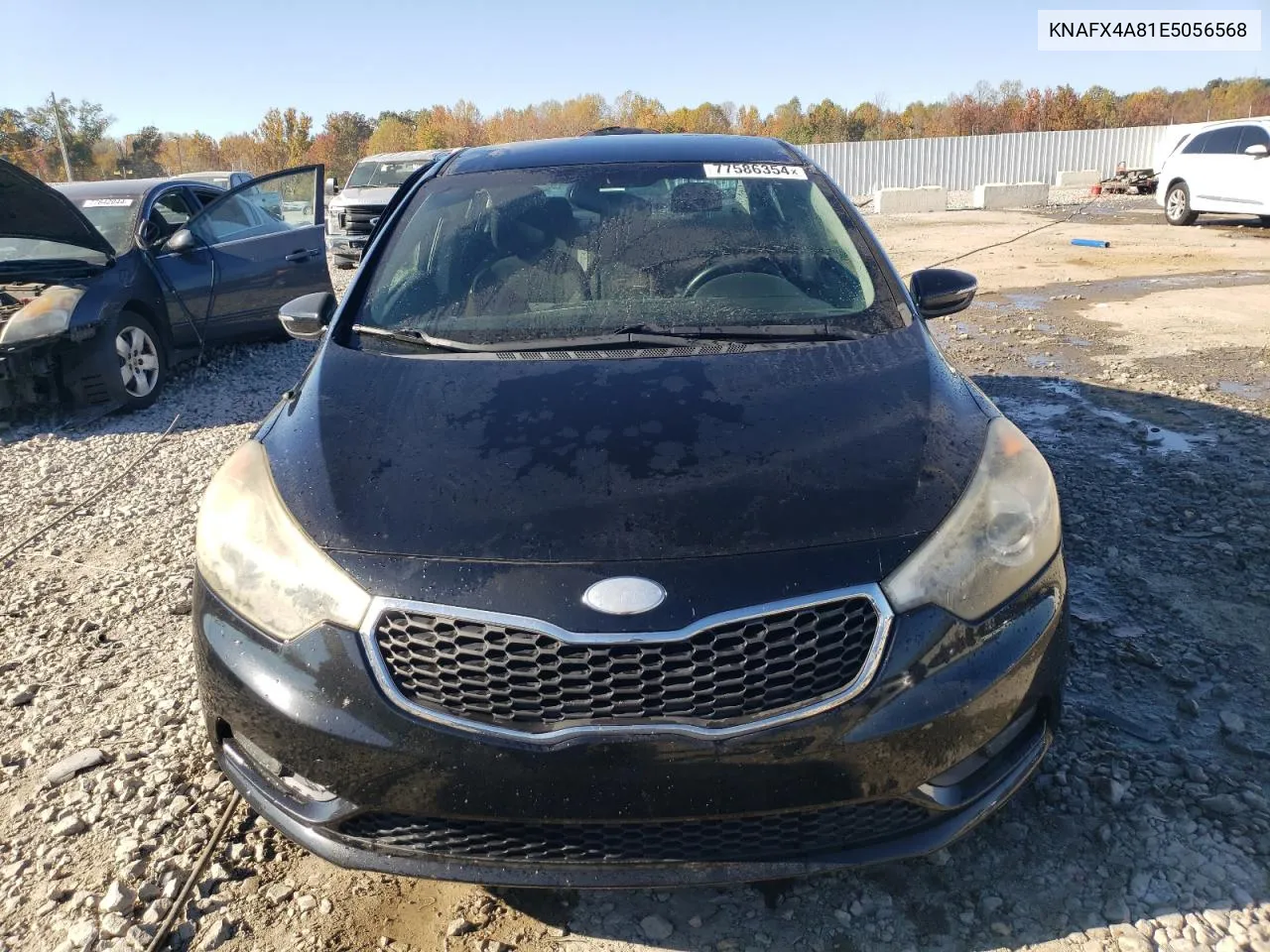 2014 Kia Forte Ex VIN: KNAFX4A81E5056568 Lot: 77586354