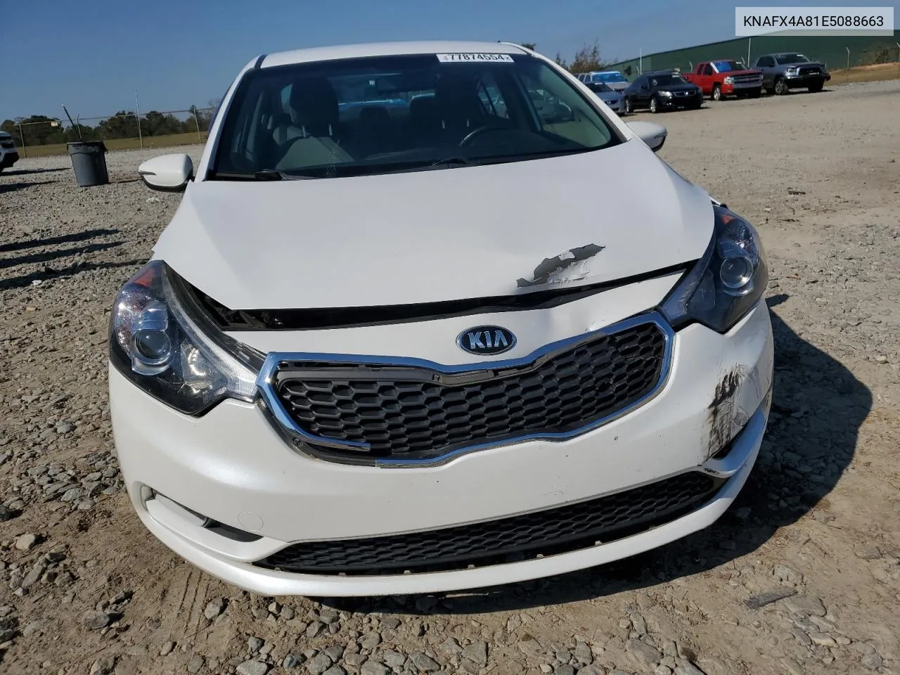 2014 Kia Forte Ex VIN: KNAFX4A81E5088663 Lot: 77874554