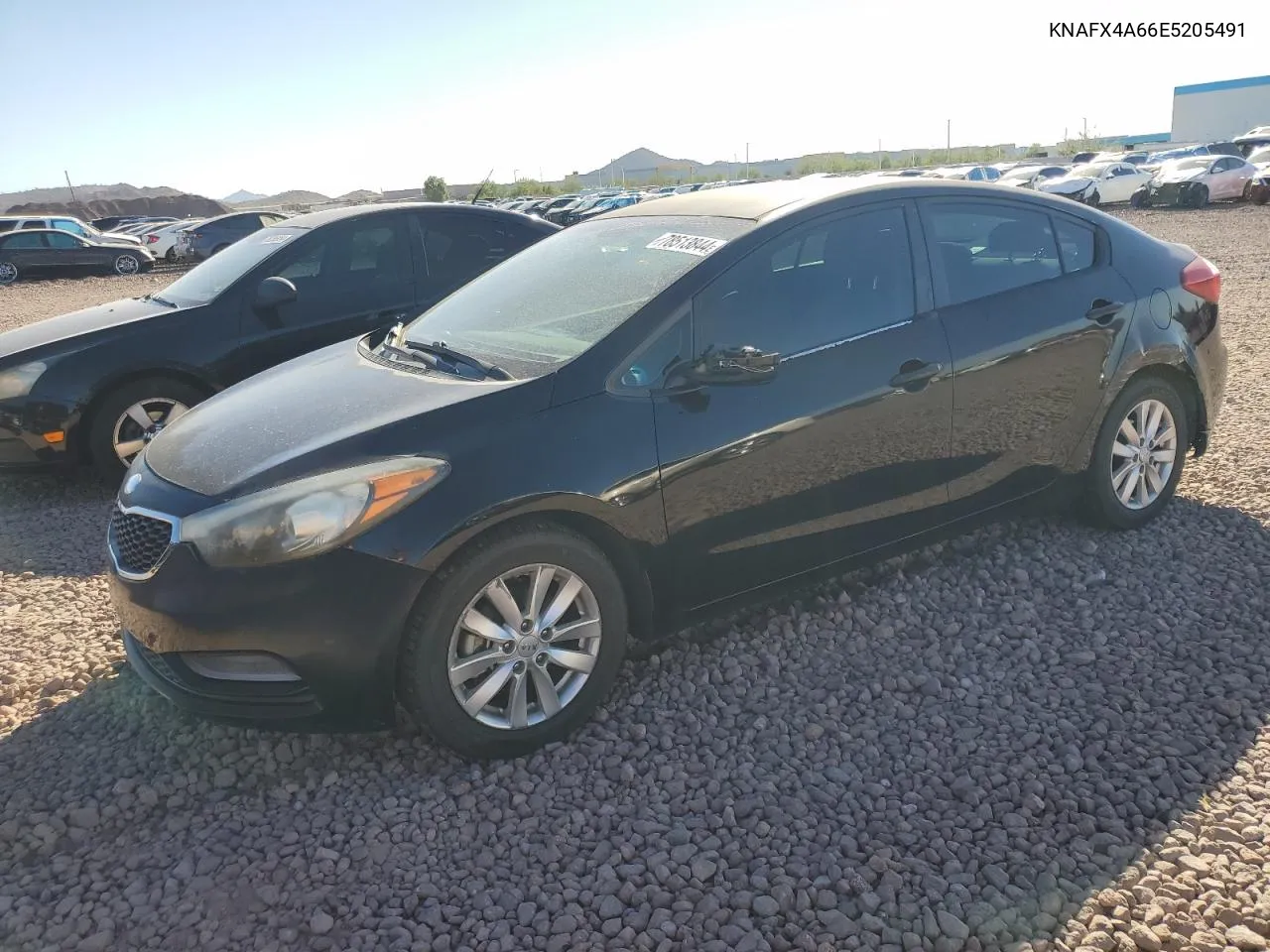 2014 Kia Forte Lx VIN: KNAFX4A66E5205491 Lot: 78513844