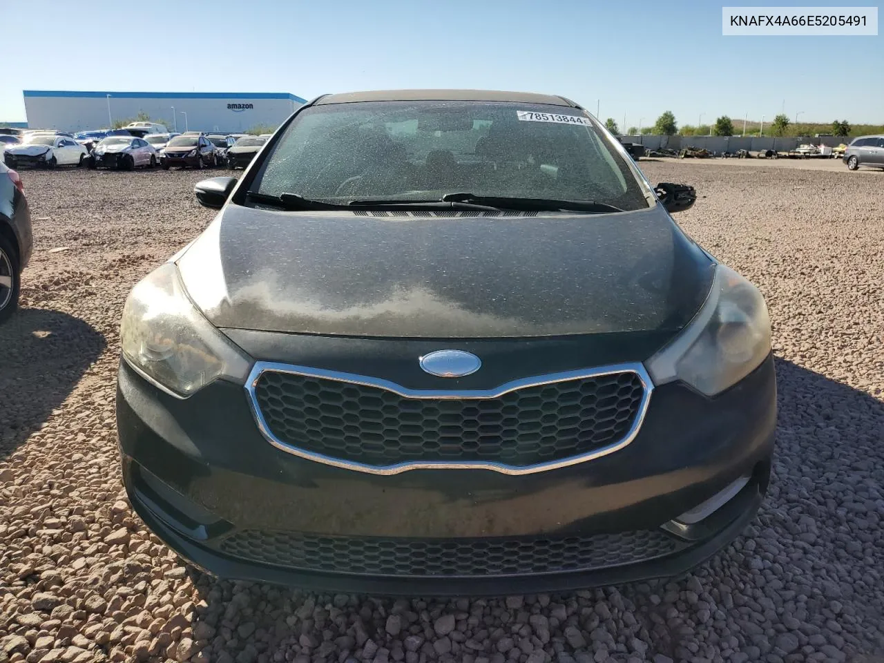 2014 Kia Forte Lx VIN: KNAFX4A66E5205491 Lot: 78513844