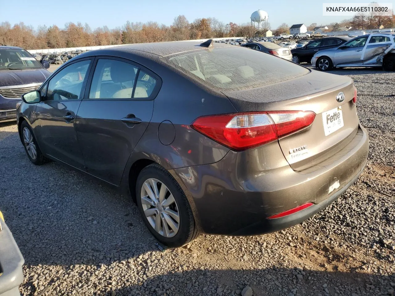 2014 Kia Forte Lx VIN: KNAFX4A66E5110302 Lot: 78548154